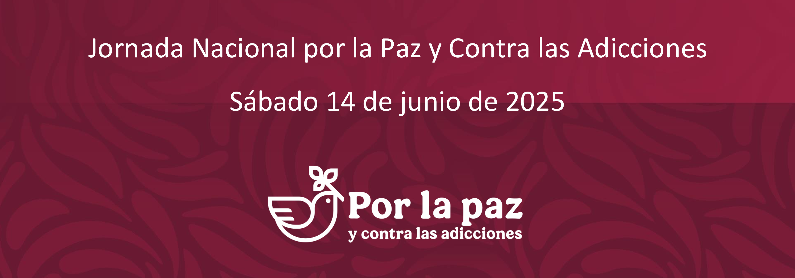 Jornada Tequios 2025